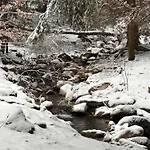 Kaliniec *