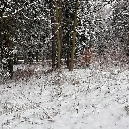 Willa Kaliniec * Karpacz