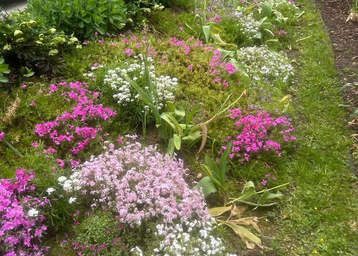 Kaliniec Kwatera prywatna